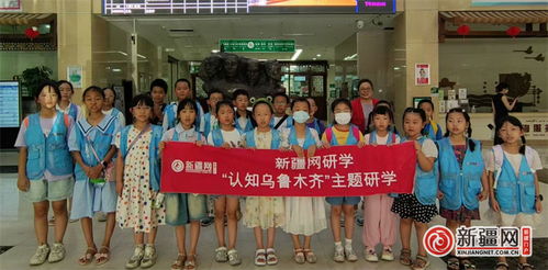 新疆网 我是小小中药师 研学活动开启中医文化探索新风尚