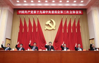 时政 全面提高国家治理能力和治理水平