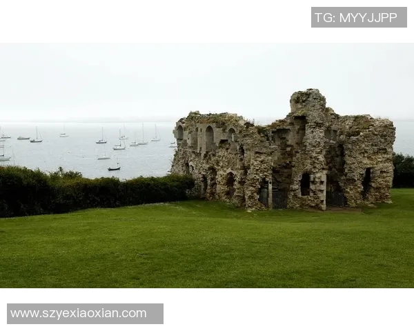 波兰特与芝加哥精彩对决全场回顾与分析