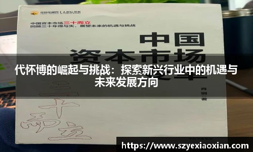 代怀博的崛起与挑战：探索新兴行业中的机遇与未来发展方向