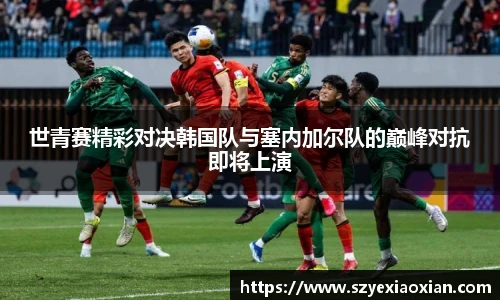 伟德体育